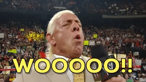 Ric Flair GIF by WWE