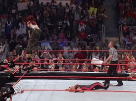 wrestling trish stratus vs lita GIF by WWE