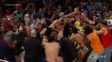 wrestling brawl GIF by WWE