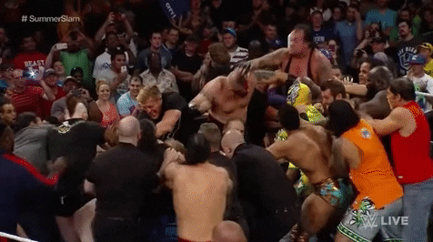 Huge Brawl GIFs - Get the best GIF on GIPHY