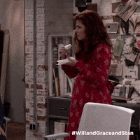 Will Grace GIF by Stan.