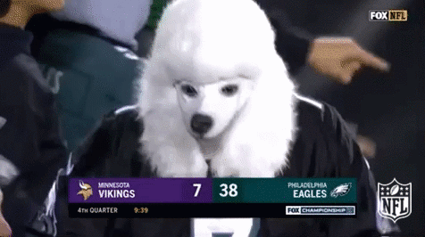 Philadelphia Eagles Football GIF by NFL - Find & Share on GIPHY