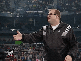 Royal Rumble Wrestling GIF by WWE