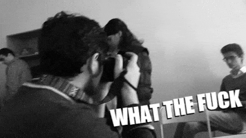 Wtf GIF