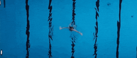 pool swimming GIF by The Orchard Films