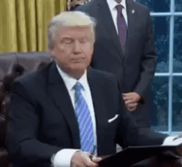 louisbarr  GIF