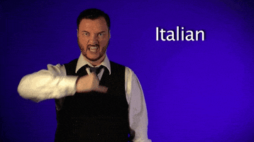 Italian Asl GIF by Sign with Robert