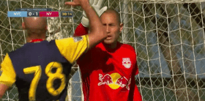 high five red bulls GIF by New York Red Bulls