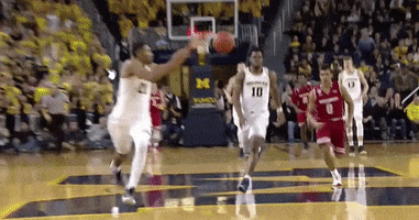 College Basketball GIF by Michigan Athletics