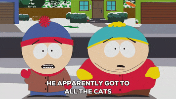 eric cartman cats GIF by South Park 