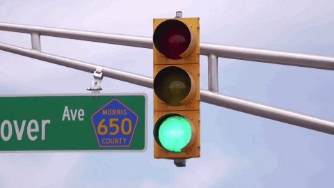 traffic light chaos GIF by The Moms