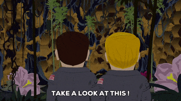 excited forest GIF by South Park 