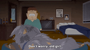 picture bed GIF by South Park 