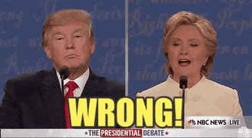 Youre Wrong Donald Trump GIF by Election 2016