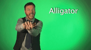 sign language alligator GIF by Sign with Robert
