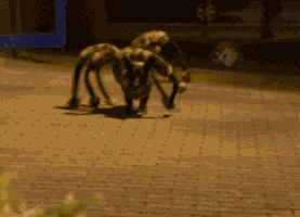 barbaraloh halloween GIF