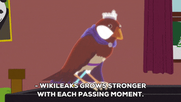 bird talking GIF by South Park 
