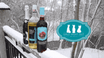 Girls Night Out Wine GIF by takerootcreative