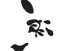 #Calligraphy GIF by Japan Marche