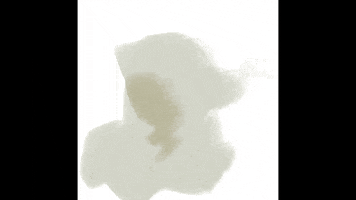 Cat Thank You GIF by Jeanloïc Nédélec