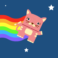 Nyan Cat Gif By Bebods Find Share On Giphy