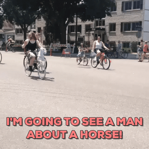 mare man bike horse unicorn GIF