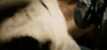 craftergui wake up iron man robert downey jr tony stark GIF