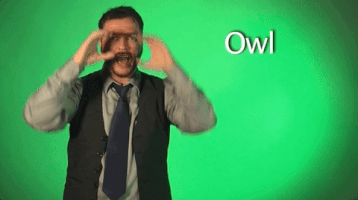 Sign Language Owl GIF by Sign with Robert