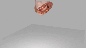 loulawlor  GIF