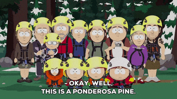 eric cartman trees GIF by South Park 