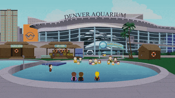 pool denver GIF by South Park 
