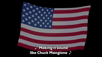 waving american flag GIF by South Park 