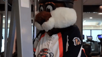 hockey workout GIF by Greenville Swamp Rabbits