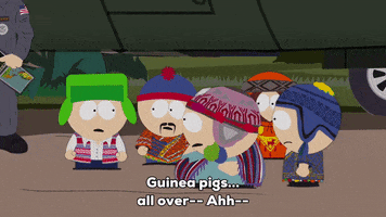 guinea pigs kyle GIF by South Park 