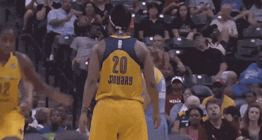briann january basketball GIF by Indiana Fever