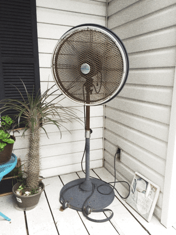 Summer Fan GIF by Scott Csoke