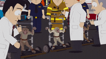 monkey scientist GIF by South Park 