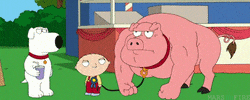 stewie griffin fox GIF by Family Guy