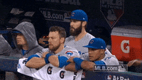 Clark-the-cub GIFs - Get the best GIF on GIPHY
