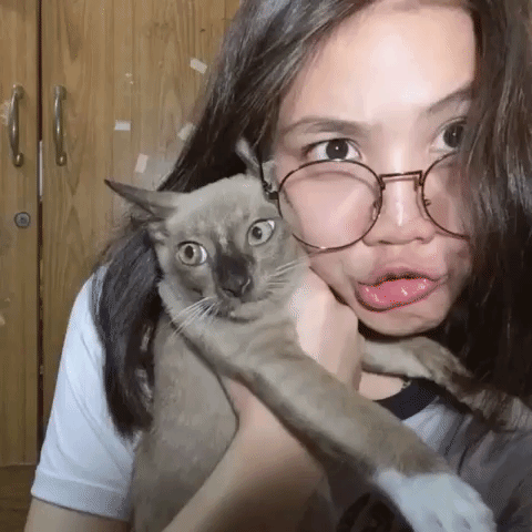 napatsorn  GIF