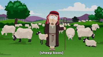 sheep shepherd GIF by South Park 