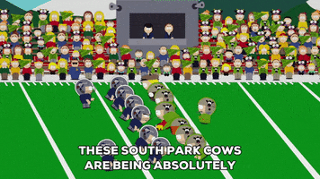 football watching GIF by South Park 