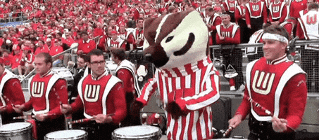 Wisconsin Badgers Drums GIF by uwmadison