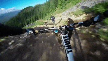 vanyaguchev  GIF