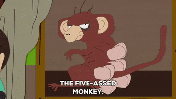monkey nodding GIF by South Park 
