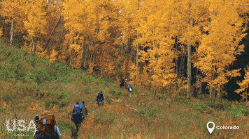 Great Outdoors Fall GIF by Go USA Kr