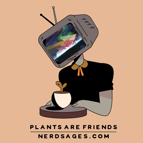 Plant Friend GIFs Get The Best GIF On GIPHY