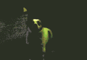 perception  GIF