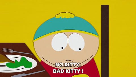 Bad Kitties GIFs - Get the best GIF on GIPHY