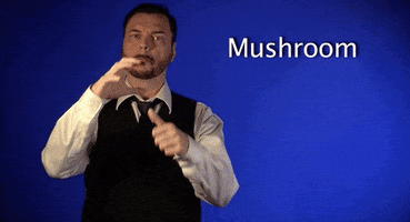 sign language mushroom GIF by Sign with Robert